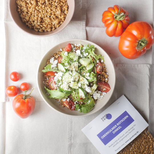 Verzehrfertiger Bio Oberkulmer Rotkorn Dinkel aus Deutschland – Good Crop